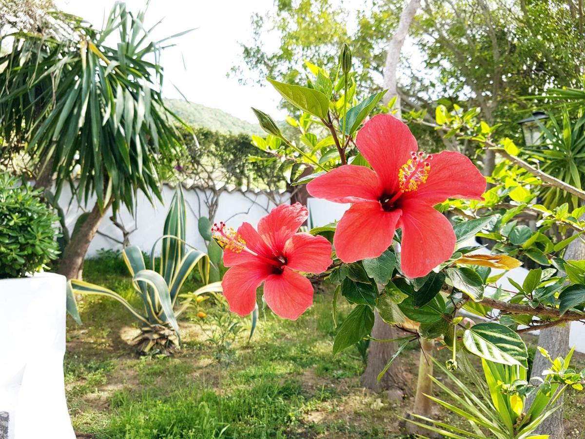 Villa Del Sogno Parghelia Dış mekan fotoğraf