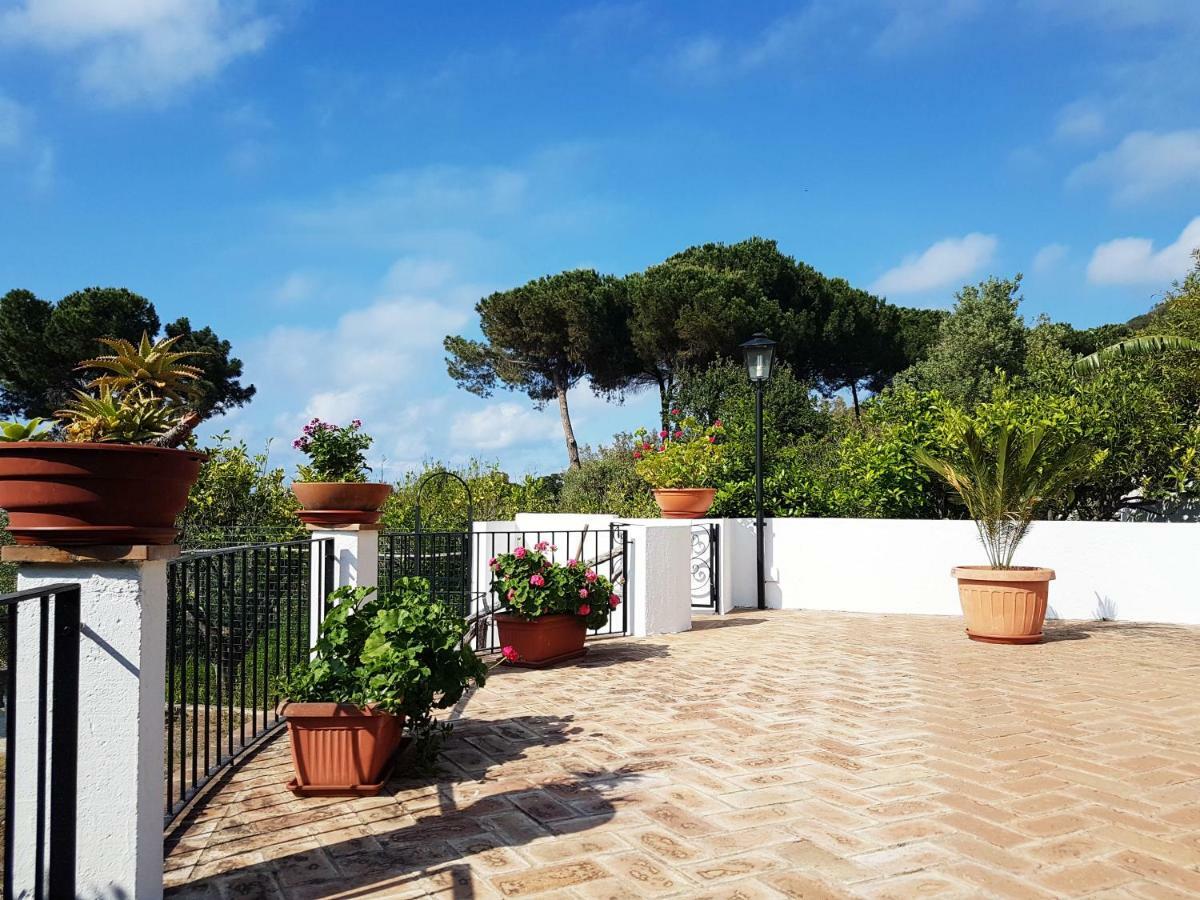 Villa Del Sogno Parghelia Dış mekan fotoğraf