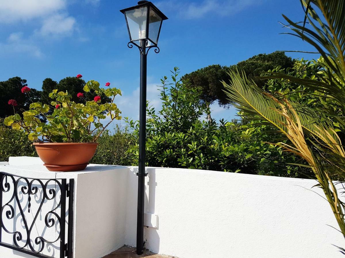 Villa Del Sogno Parghelia Dış mekan fotoğraf